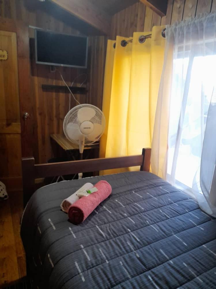 Hostal Newen Villarrica Exterior photo